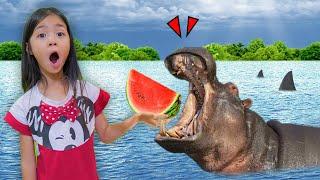 บริ้งค์ไบรท์ | ให้อาหารฮิปโป hippo