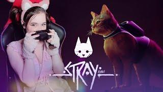  STRAY // ПОЛНОЕ ПРОХОЖДЕНИЕ ИГРЫ