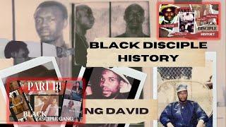 The Complete Black Disciple History: 1960s–Present Chicago Gangs (Parts 1-3)
