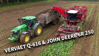 4Kᵁᴴᴰ 2024: Sugar beet harvest with Vervaet Q-616 harvester and John Deere 6R 250 on carting