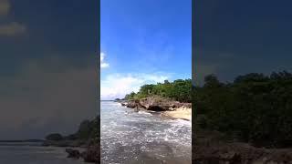 wandering with paint #garima #bali #wandering #youtube #youtubeshorts #shortfeed#season #balidesign