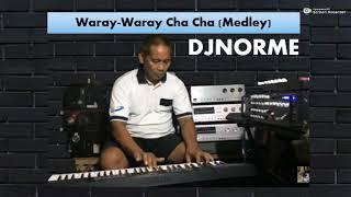 CHA CHA WARAY WARAY MEDLY DJNORME  MUSIC VIDEO