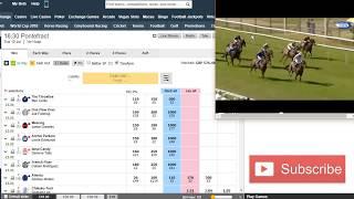 LAY THE FIELD HORSE RACING BETFAIR TRADING STRATEGY