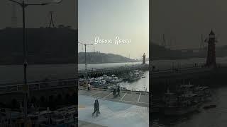 Boardwalk in Yeosu, South Korea. #koreatravel #travelling #travel #yeosu #korea