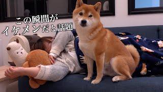 ママが腰を痛めた時、柴犬ハチの愛の深さに感動しました。。