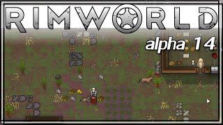  RIMWORLD alpha 14 gameplay - When animals attack - Ep 9 - Steam early access (let's play a14 game)