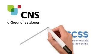  CNS vs CCSS