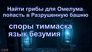 Найти грибы для Омелума ( споры тиммаска и язык безумия ) в Разрушенной башне, Baldur's Gate 3