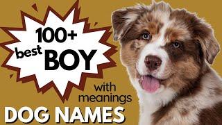 130 Best Male Dog Names with Deep MEANINGS! Boy Dog Names