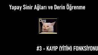 Yapay Sinir Ağları ve Derin Öğrenme #3 - Kayıp ve Maliyet Fonksiyonları