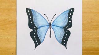 How to Draw Butterfly  (Very Easy) Step by Step | Colored Pencil