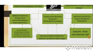 реактивті қозғалыс