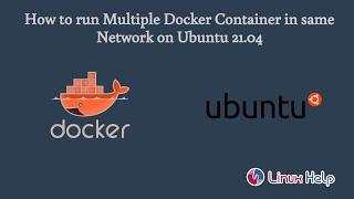 How to run Multiple Docker Containers in the same Network on Ubuntu 21.04