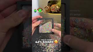 Rainbow Rice Shark Evolution 