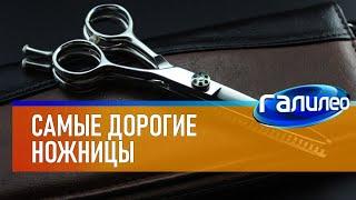 Галилео  Самые дорогие ножницы