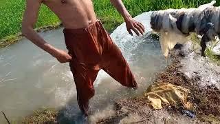 AED pads and lifetimein Pakistan village vlog swimming village vlog routine