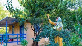 How Village People Live in the Mountains of Northern Iran