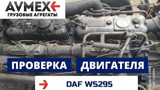 Проверка двигателя WS295 на DAF 95 и китайскую технику