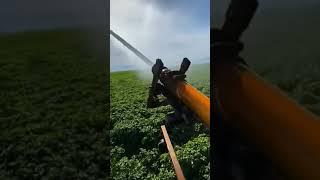 Крупный калибр. Подпишись!