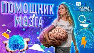 КАК ИСКУССТВЕННЫЙ ИНТЕЛЛЕКТ ПОМОГАЕТ ВЫБРАТЬ ПРОФЕССИЮ?! НЕЙРОБИОЛОГИЯ БУДУЩЕГО! | Наука Просто