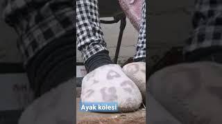#ayakfetişi#feet #ayak#ayakkolesi# #sahibe#ayakyalama#ayakkolesi#köle#