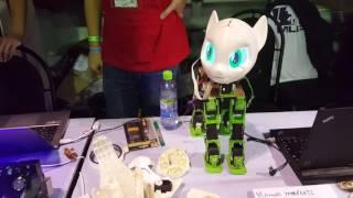 Sweetie Bot RuBronyCon