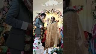 Aayoush and Alizeh weeding ceremony #tiktokviral #ayuzeh #shorts