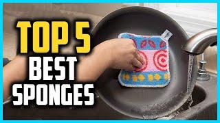 ▶️Best Sponges in 2024