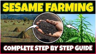 Sesame Cultivation: Planting, Care, Harvesting | How to grow Sesame seeds at Home | Sesame Farming