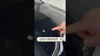 уже сколы #clinlicar #automobile #автоподбормосква #обзор #автоподборспб