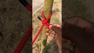 Perfect Knot Easy To Tie & Untie 