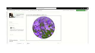Microsoft SharePoint Online. Применение фигур к изображениям
