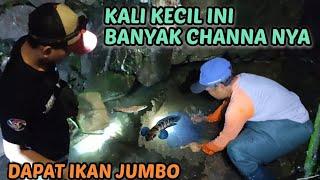 GILAA‼️Gak nyangka Di Kali kecil ini banyak channa nya dan dapat ikan jumbo