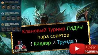 Первенство Гидры - как победить в Турнире и кто проиграет ! Советы : какую гидру и кем бить ! RAID