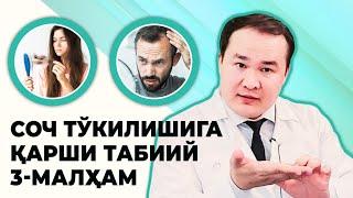 СОЧ ТЎКИЛИШИГА ҚАРШИ 3-ТАБИИЙ МАЛҲАМ / СОЧ ИЛДИЗИНИ МАҲКАМЛАШ ВА МУСТАҲҚАМ БЎЛИШИГА