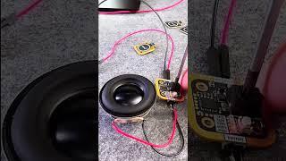 DIY Project AMP | Testing module & Speaker #diyprojects #electronic