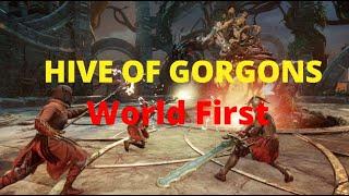 New World Hive of Gorgons Raid Clear ( World First )