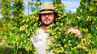 A New Zealand Hop Odyssey - [Documentary - 2024]