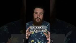 Сам нахожусь в поиске пути к этой цифре. Какие ресурсы нужны для заработка в миллион долларов? #зож