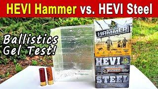 HEVI Hammer vs HEVI Steel | Ballistics Gel & Pattern Test