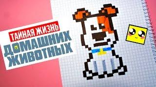 Рисуем по клеточкам-МАКС (MAX DOG /The secret life of pets watch )PIXEL ART