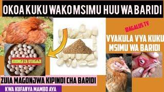 MAMBO 7 YA KUFANYA KWA KUKU  MSIMU WA BARIDI/How to stop chicken's death during Winter season?