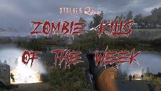 STALKER ANOMALY REBORN - ZOMBIE KILLS OF THE WEEK