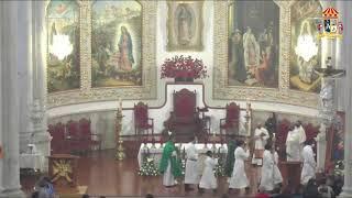 Santa Misa desde la Parroquia Basílica de Santa María de Guadalupe Hgo