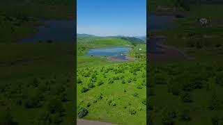 ️Альпийские луга горного Алтая! Подписывайтесь на канал 