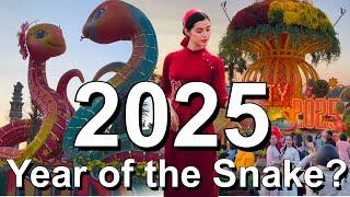 Year of the Snake  2025 Vietnam New Year - Hue Vietnam