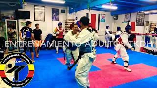 Entrenamieto adultos taekwondo heredia