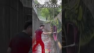 Giant Snack - Jolly Adventures