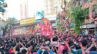 lalbaug cha raja visarjan miravnuk 2024 | Shroff building pushpa vrushti ani Lalbaug cha raja arti