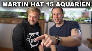 Wo sind alle Aquarien von @martinsfische ? - Meine Roomtour XXL